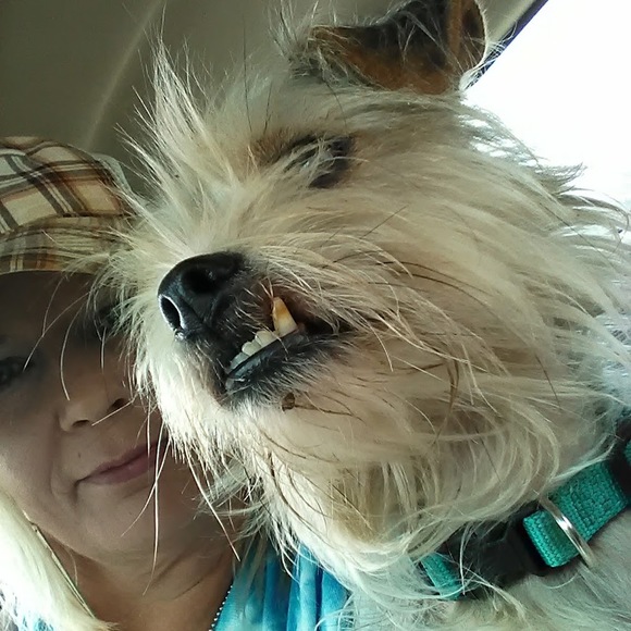 Meet your Posher, Laura - Picture 1 of 1